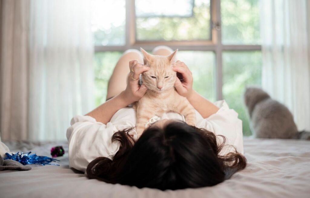 Osoba leži na krevetu dok drži mačku i mazi je po glavi – Mačke ne vole da ih svako mazi – Nauka objašnjava