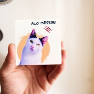 Magnet Alo Međede – Idealan poklon za Sabkoljupce