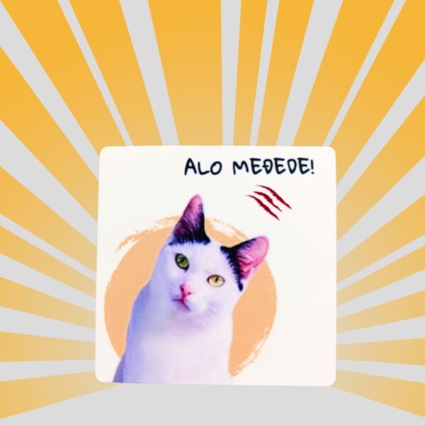 magnet sa sabkom alo međede