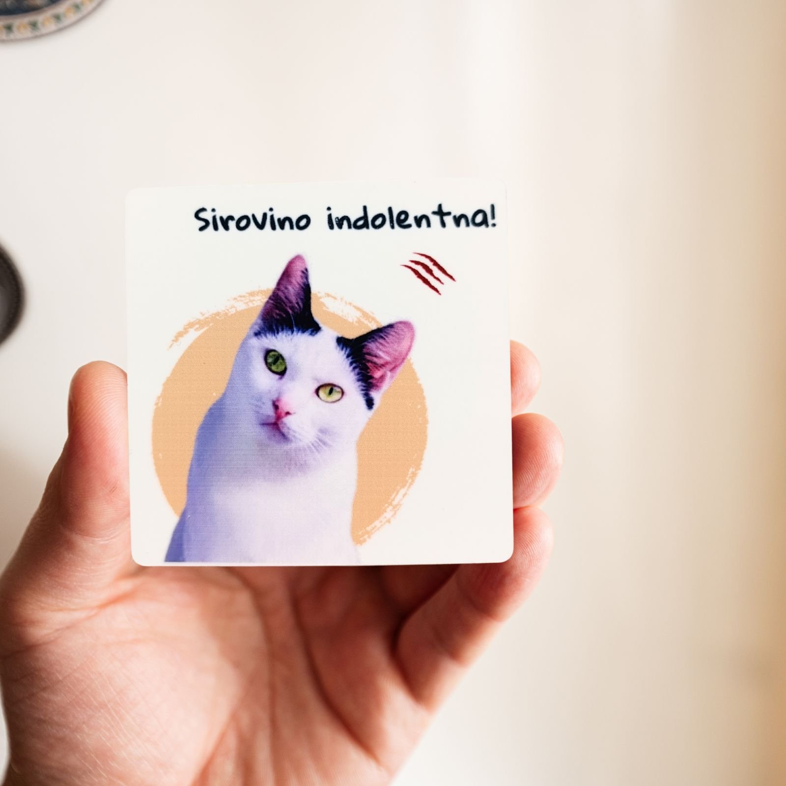 Magnet Sirovino Indolentna – Magnet sa Sabkom