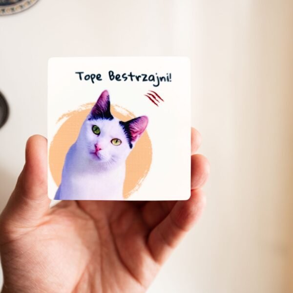 Magnet Tope Bestrzajni – Magnet za sve ljubitelje mačaka