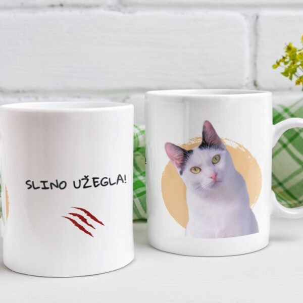 Šolja Slino Užegla – Šolja sa Sabkom