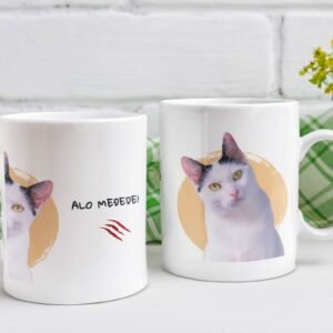 Šolja Alo Međede – Šolja sa Sabkom