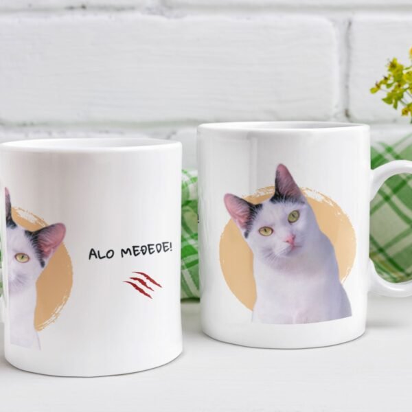 Šolja Alo Međede – Šolja sa Sabkom