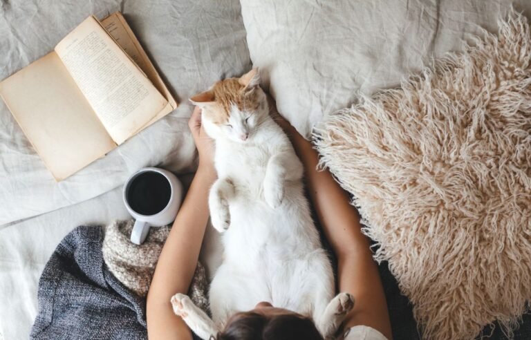 Mačka mirno spava u krilu vlasnika na krevetu i pokazuje poverenje i bliskost – Mačka Vas Posmatra Dok Spavate – Evo Šta To Zaista Znači