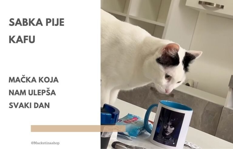Mačka Sabka pije kafu iz šolje na stolu, simpatičan trenutak koji pokazuje radoznalu mačku i svakodnevni život sa mačkom