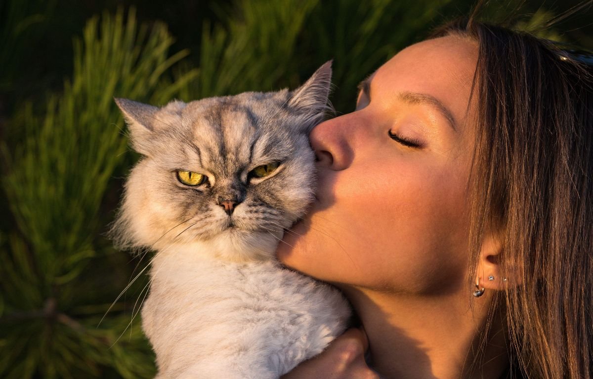 Mačka Vas Ignoriše – Razlog će vas poprilično iznenaditi