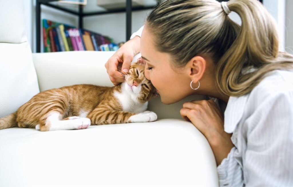 Kako mačke biraju svog čoveka – žena nežno mazi i ljubi mačku koja joj veruje i uživa u bliskosti sa vlasnicom