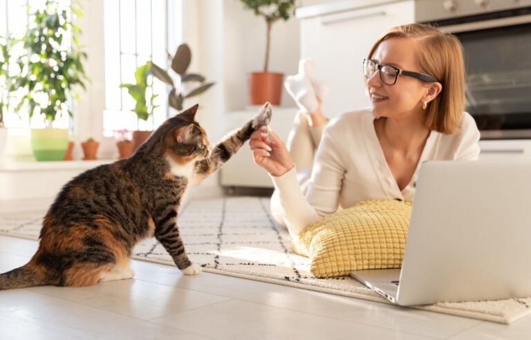 Kako mačke biraju svog čoveka – mačka pruža šapu vlasnici tokom igre i pokazuje poverenje i povezanost