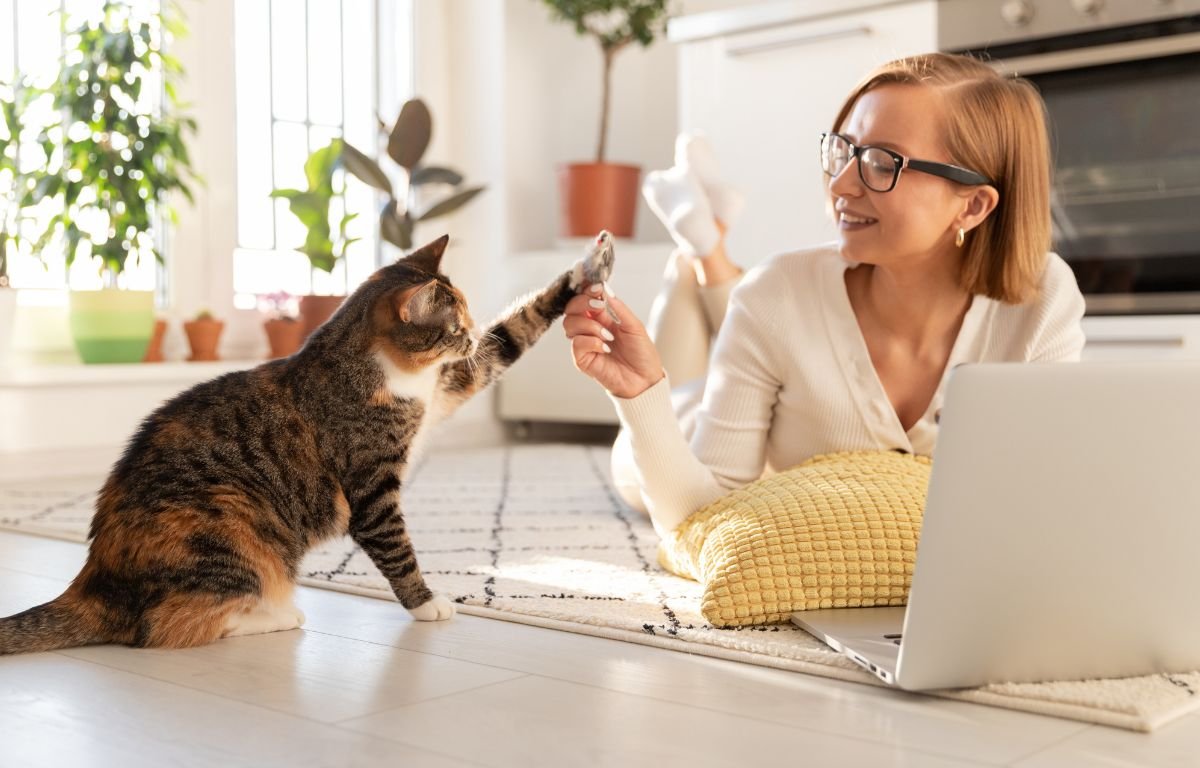 Kako mačke biraju svog čoveka – mačka pruža šapu vlasnici tokom igre i pokazuje poverenje i povezanost