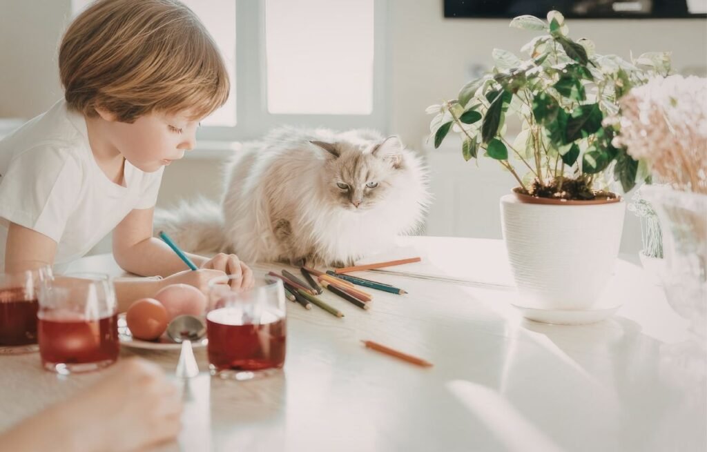 Kako mačke pomažu deci sa autizmom – dete crta za stolom dok mačka mirno sedi pored njega i pruža osećaj sigurnosti