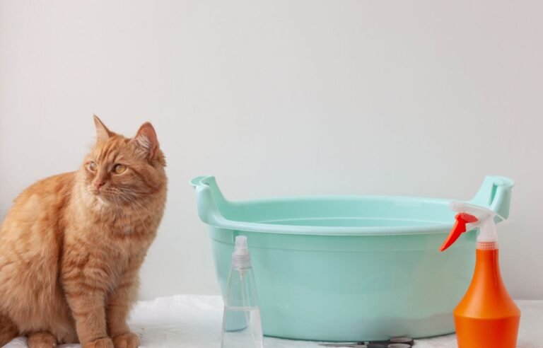 mačka pored posude za mačiji pesak i sredstva za čišćenje mačijeg toaleta u stanu