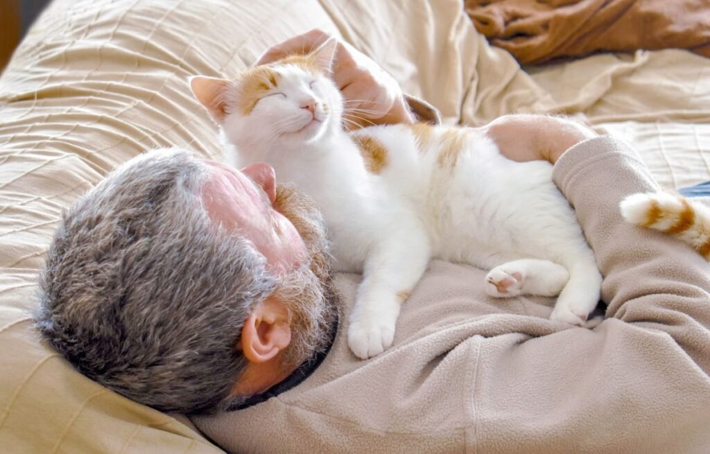 Mačka leži na vlasniku i uživa u maženju pokazujući posebnu vezu – Ako Vam Mačka Radi OVO – Imate Posebnu Vezu