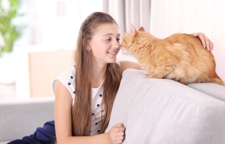 Mačka dodiruje nos vlasnika i pokazuje posebnu vezu – Ako Vam Mačka Radi OVO – Imate Posebnu Vezu