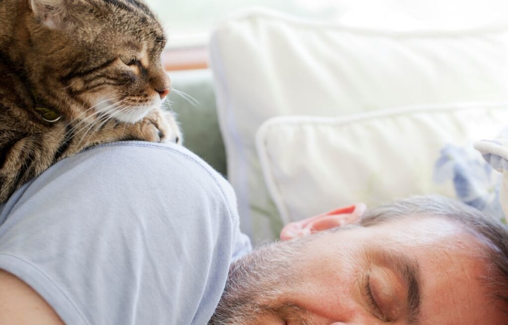 Kada mačka spava pored glave – mačka leži blizu vlasnika kao znak poverenja, sigurnosti i bliskosti